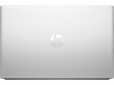 Ноутбук HP ProBook 455 G10 (816J4EA) Pike Silver - фото 2 - интернет-магазин электроники и бытовой техники TTT