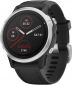 Часы Garmin Fenix 6S Silver with Black Band (010-02159-01) - фото  - интернет-магазин электроники и бытовой техники TTT